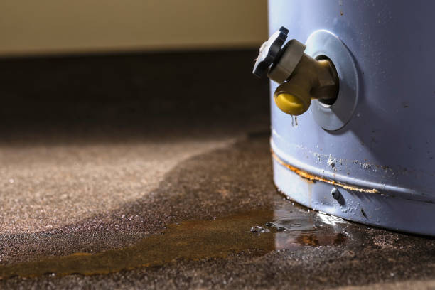 Best Mold removal after water damage  in Santa Rosa, CA