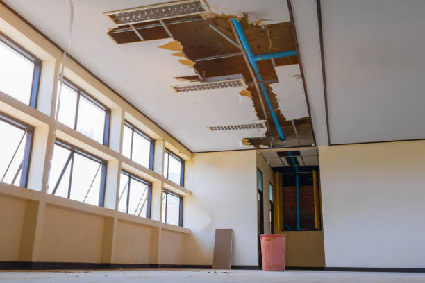 Best Water damage cleanup near me  in Santa Rosa, CA