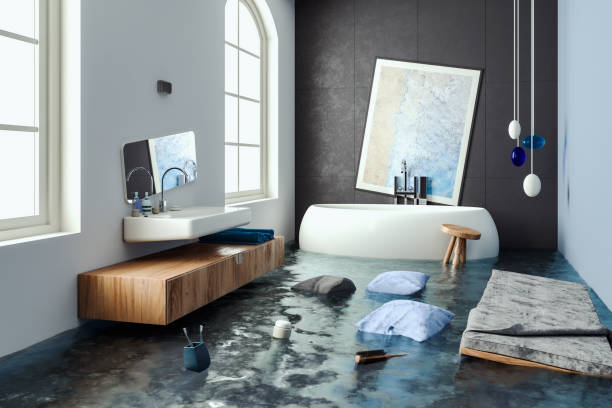 Best Water damage restoration services  in Santa Rosa, CA