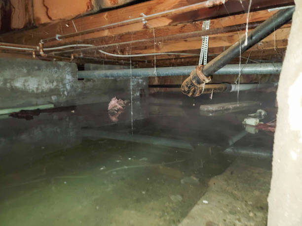  Santa Rosa, CA Water damage restoration Pros