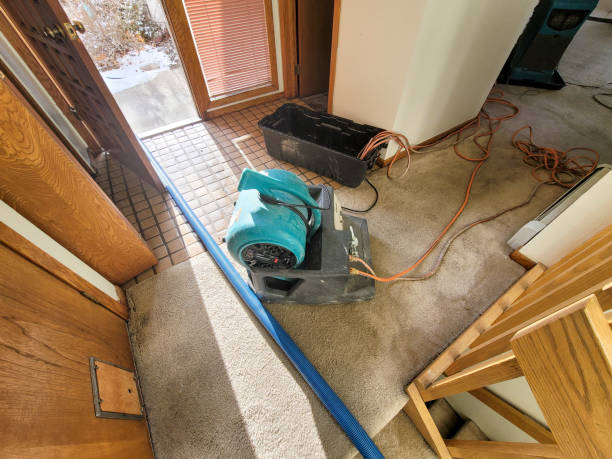 Best Residential water damage restoration  in Santa Rosa, CA