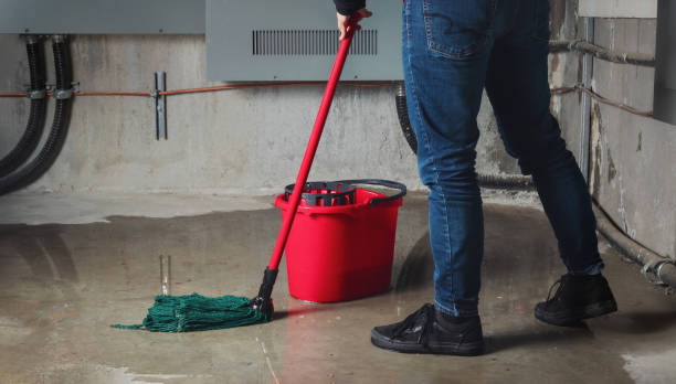 Best Basement water damage restoration  in Santa Rosa, CA
