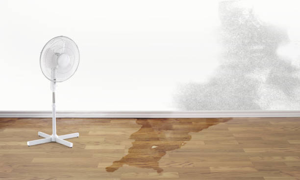Best Flood damage cleanup  in Santa Rosa, CA