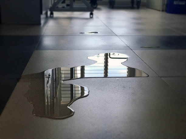 Best Water damage restoration near me  in Santa Rosa, CA