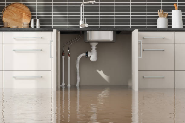 Best 24-hour water damage restoration  in Santa Rosa, CA