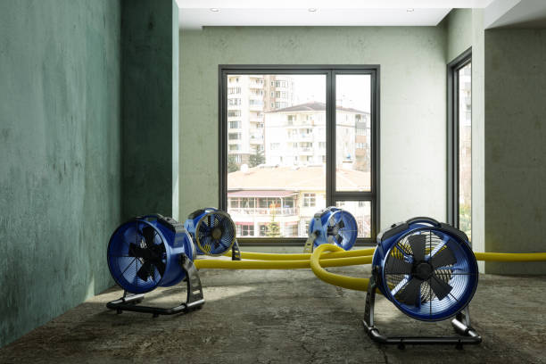 Best Flood damage cleanup  in Santa Rosa, CA