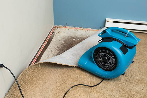 Best Water damage restoration near me  in Santa Rosa, CA